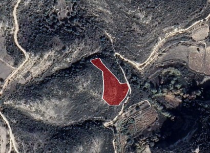 Dora, Limassol Agricultural Field For Sale | WW27987
