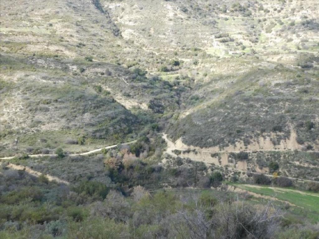 Dora, Limassol Agricultural Field For Sale | WW27988