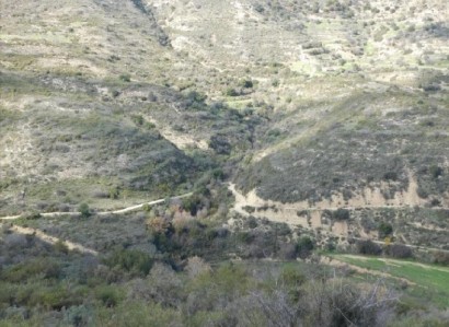Dora, Limassol Agricultural Field For Sale | WW27988
