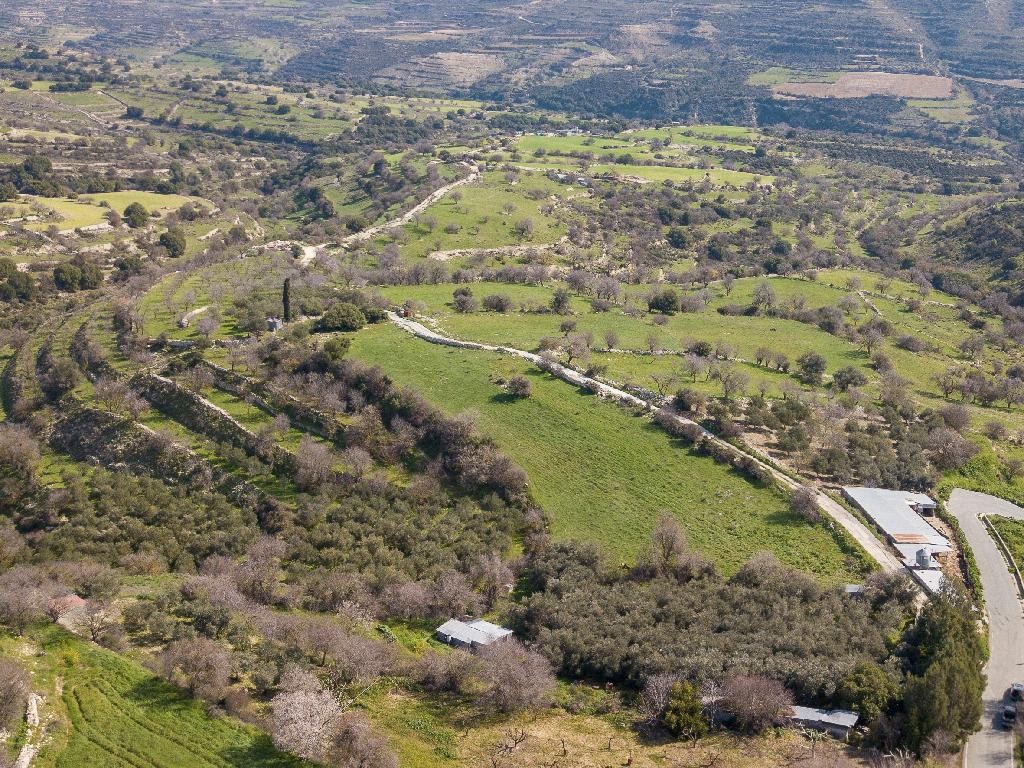 Field - Dora, Limassol