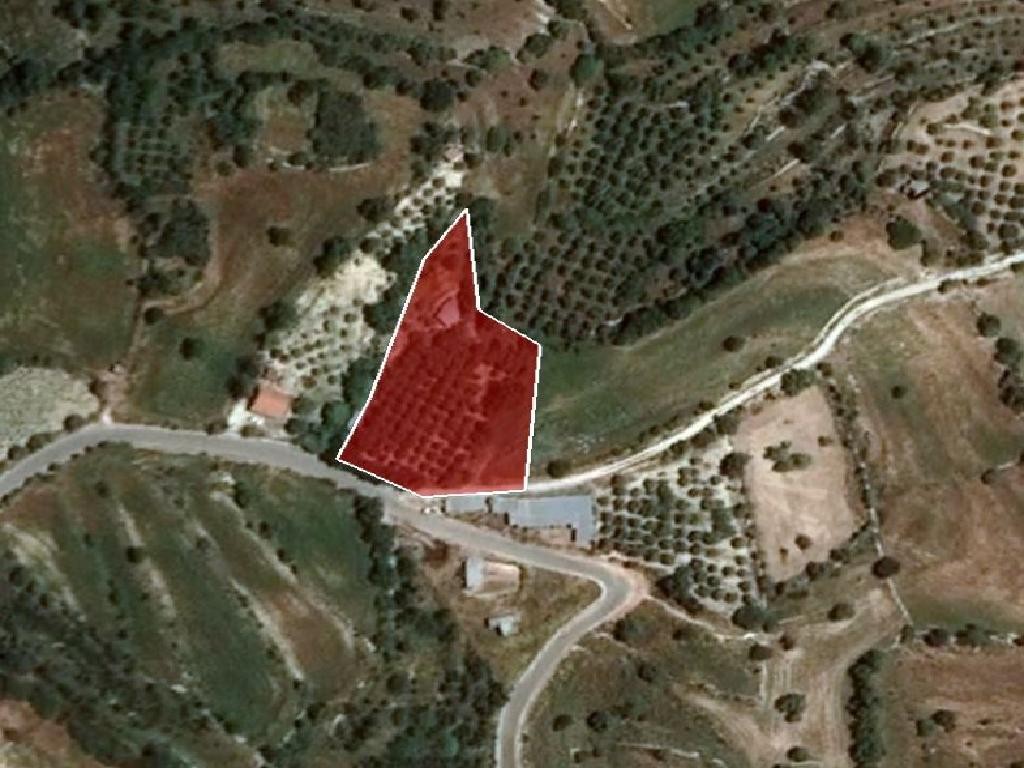 Field - Dora, Limassol