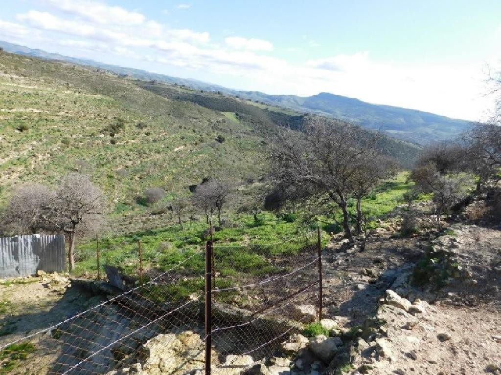 Dora, Limassol Agricultural Field For Sale | WW27991
