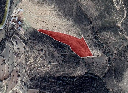 Dora, Limassol Agricultural Field For Sale | WW27991