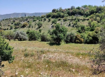 Dora, Limassol Residential Field For Sale | WW27992