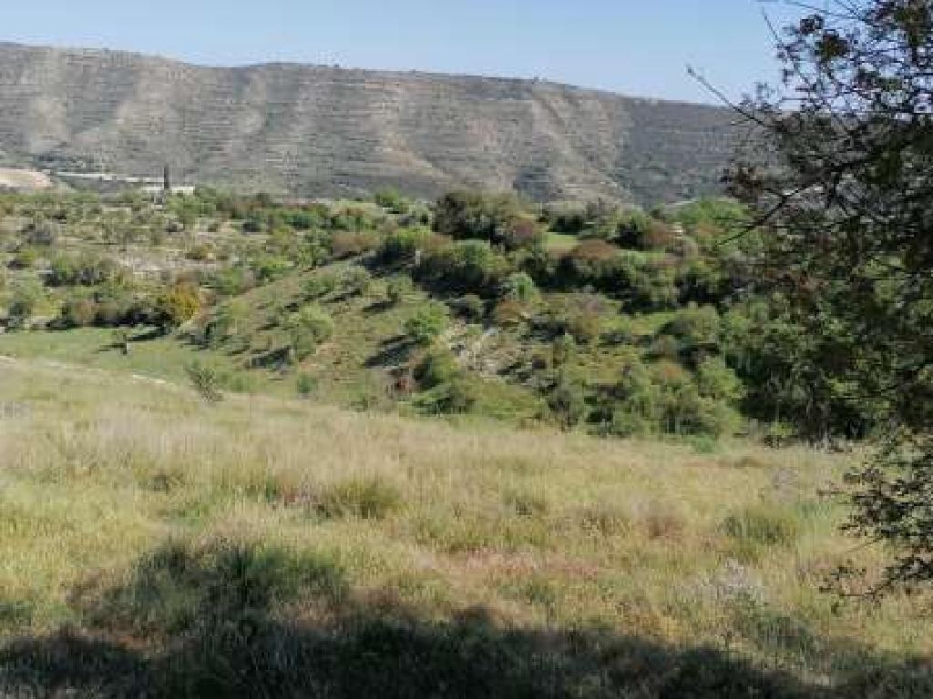 Field - Dora, Limassol