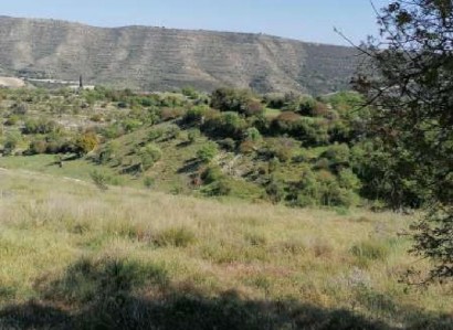 Dora, Limassol Residential Field For Sale | WW27992