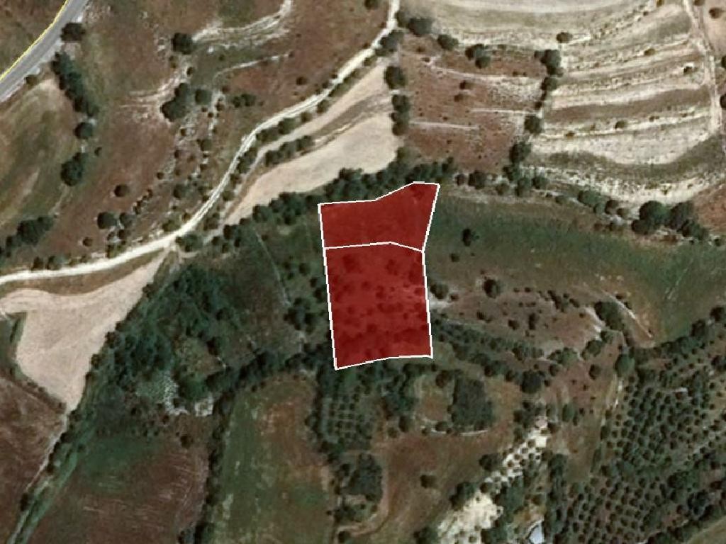 Field - Dora, Limassol