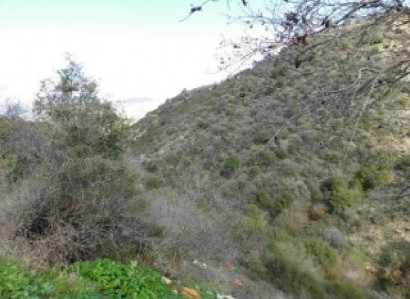 Dora, Limassol Agricultural Field For Sale | WW27997