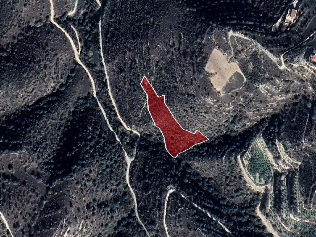 Field - Dora, Limassol