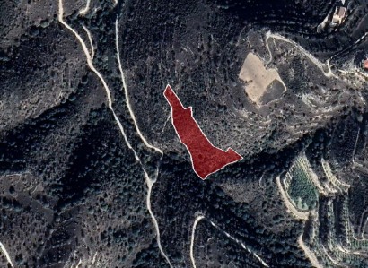 Dora, Limassol Agricultural Field For Sale | WW27997