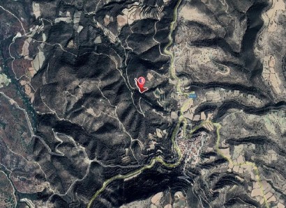 Dora, Limassol Agricultural Field For Sale | WW27997