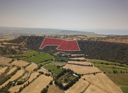 Pissouri, Limassol Agricultural Field For Sale | WW27999