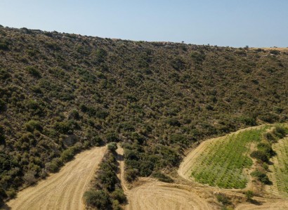 Pissouri, Limassol Agricultural Field For Sale | WW27999