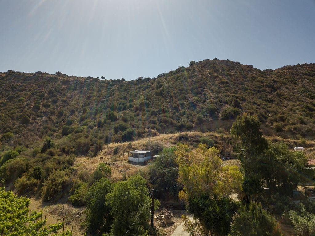 Field - Pissouri, Limassol