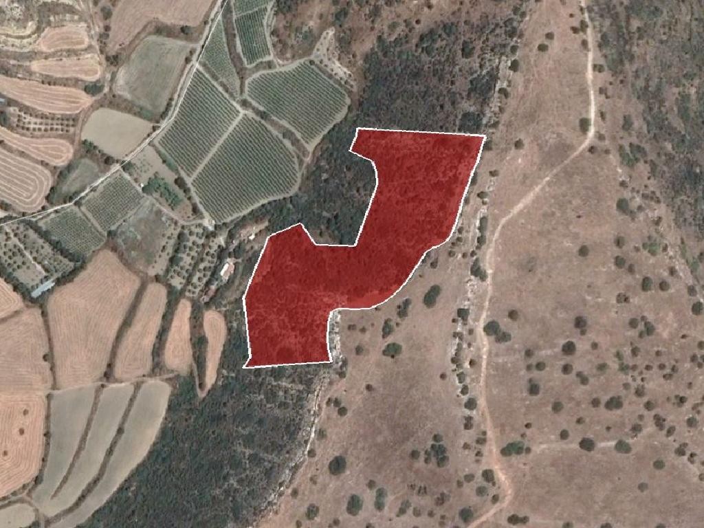 Field - Pissouri, Limassol