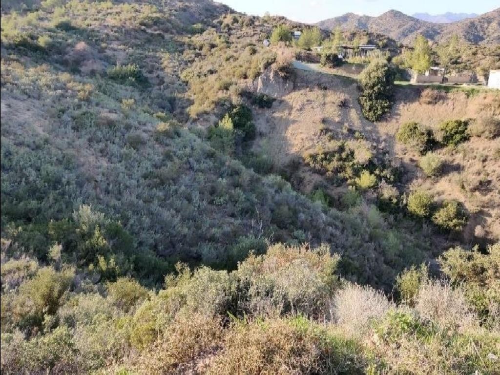 Asgata, Limassol Agricultural Field For Sale | WW28000