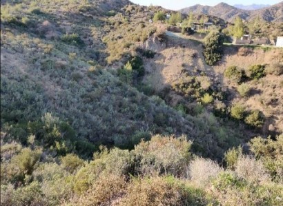 Asgata, Limassol Agricultural Field For Sale | WW28000