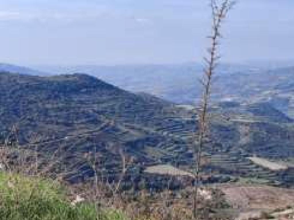 Dora, Limassol Agricultural Field For Sale | WW28001