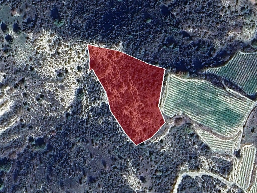 Field - Dora, Limassol
