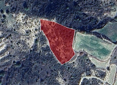 Dora, Limassol Agricultural Field For Sale | WW28001