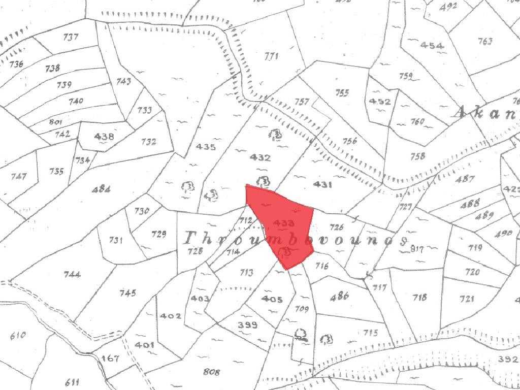 Field - Dora, Limassol