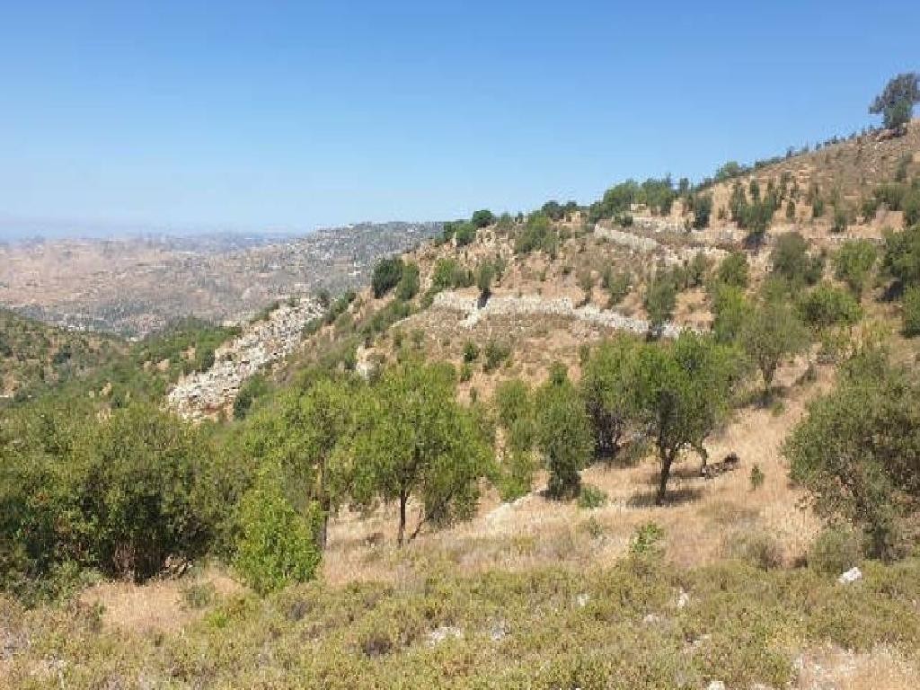 Dora, Limassol Agricultural Field For Sale | WW28002