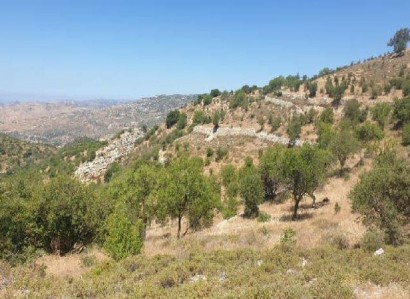 Dora, Limassol Agricultural Field For Sale | WW28002