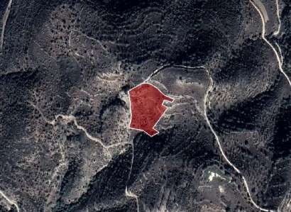 Dora, Limassol Agricultural Field For Sale | WW28002