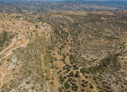 Pissouri, Limassol Touristic Field For Sale | WW28003