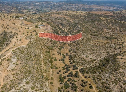 Pissouri, Limassol Touristic Field For Sale | WW28003