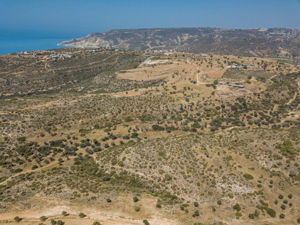 Field - Pissouri, Limassol