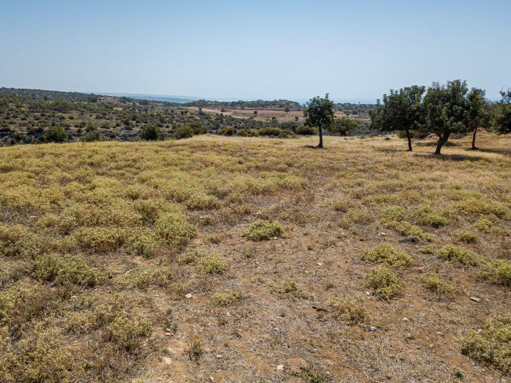 Field - Pissouri, Limassol