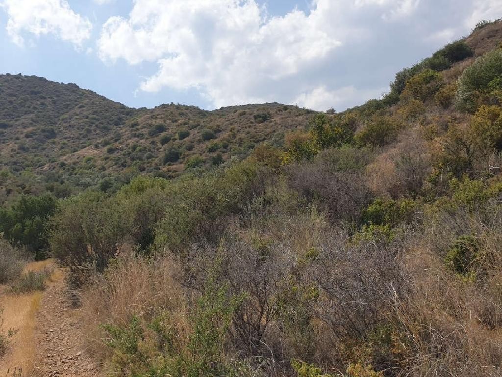 Vasa Kellakiou Agricultural Field For Sale | WW28004