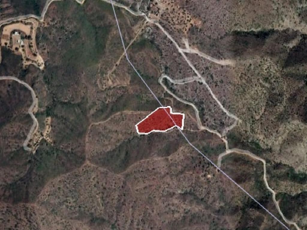 Field - Vassa Kellakiou, Limassol