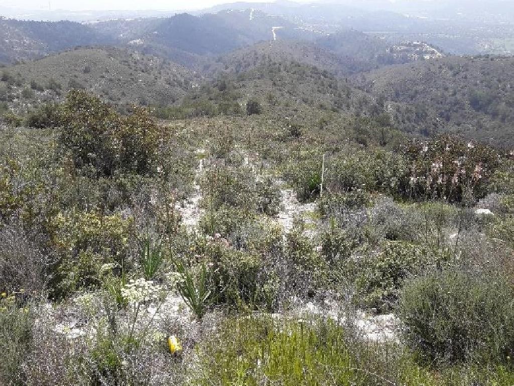 Asgata, Limassol Agricultural Field For Sale | WW28005