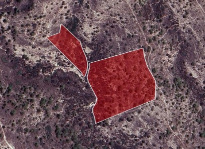Asgata, Limassol Agricultural Field For Sale | WW28005