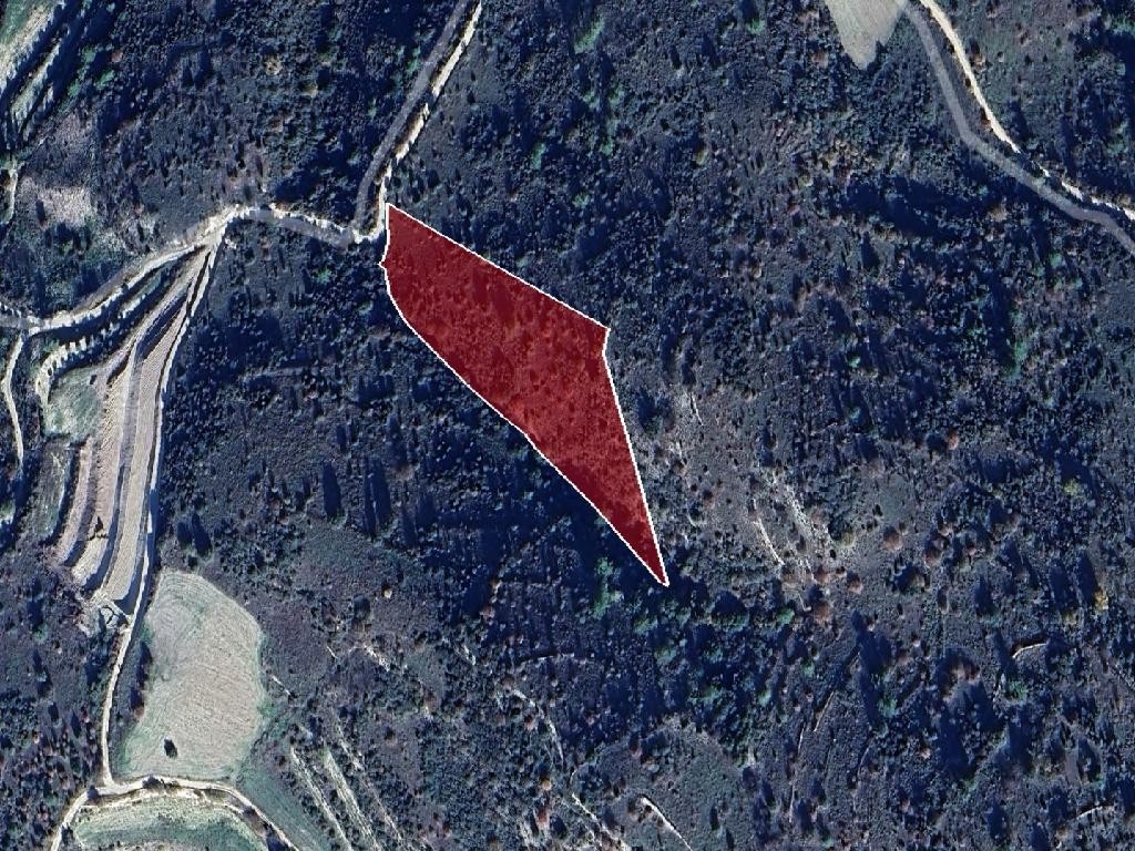 Field - Dora, Limassol