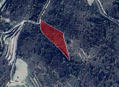 Dora, Limassol Agricultural Field For Sale | WW28007