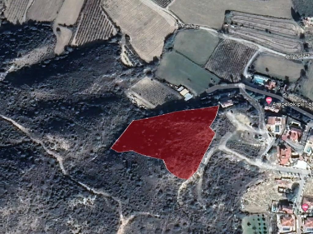 Field - Pissouri, Limassol