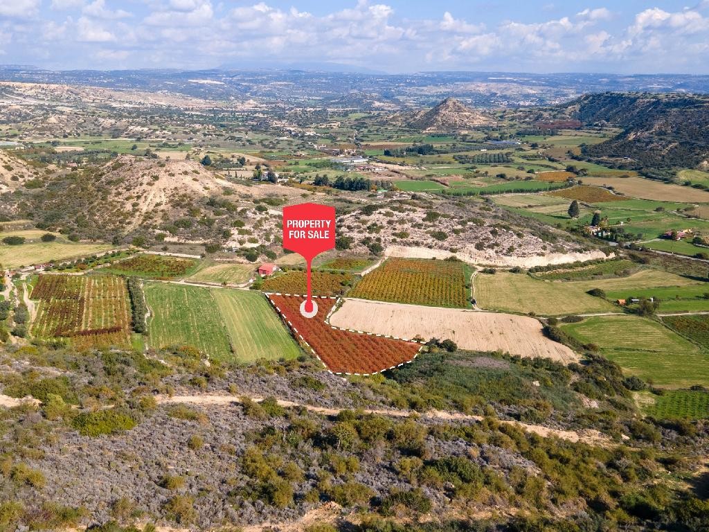 Pissouri, Limassol Touristic Field For Sale | WW28009