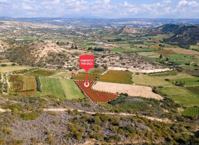 Pissouri, Limassol Touristic Field For Sale | WW28009