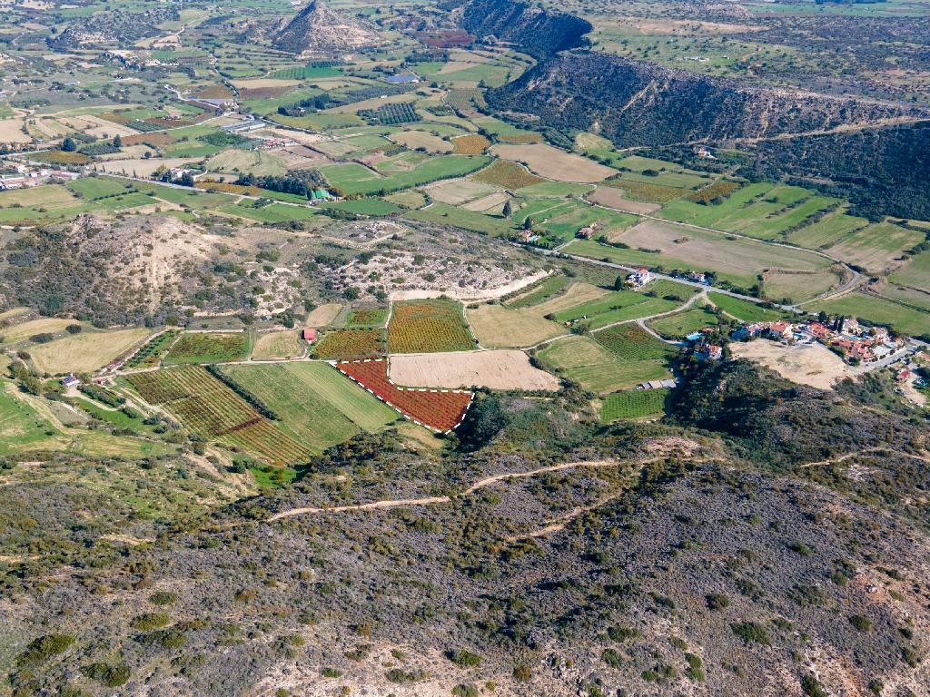 Field - Pissouri , Limassol