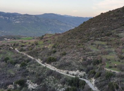 Dora, Limassol Agricultural Field For Sale | WW28010