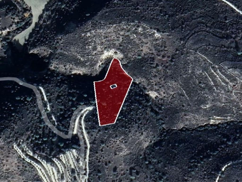 Field - Dora, Limassol