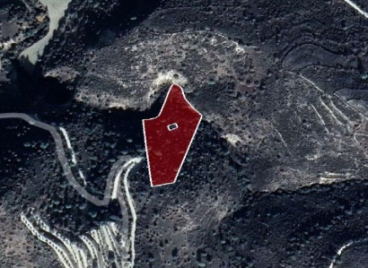 Dora, Limassol Agricultural Field For Sale | WW28010