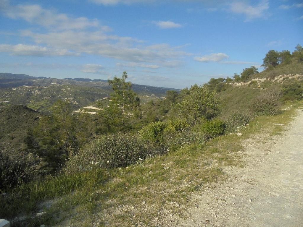 Asgata, Limassol Agricultural Field For Sale | WW28011