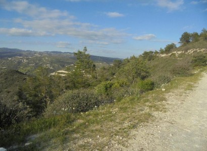 Asgata, Limassol Agricultural Field For Sale | WW28011