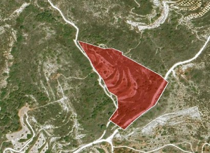 Asgata, Limassol Agricultural Field For Sale | WW28011