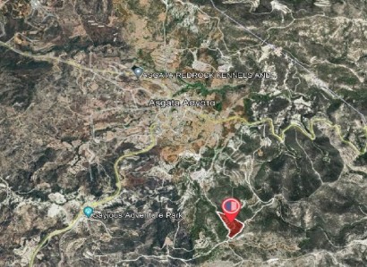 Asgata, Limassol Agricultural Field For Sale | WW28011
