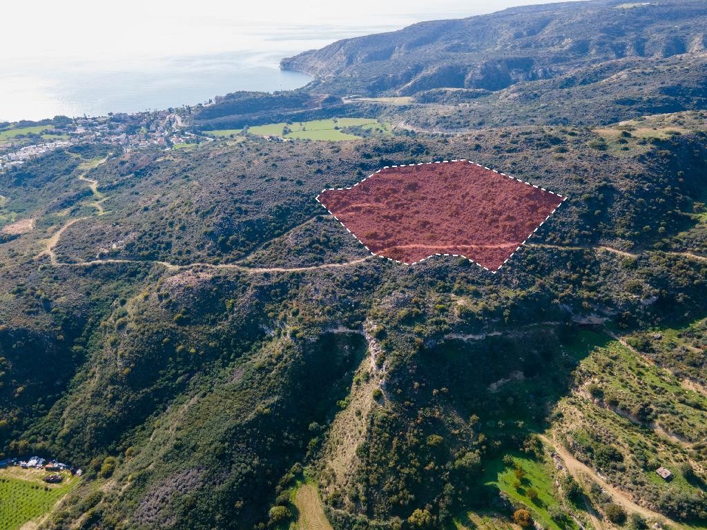Field - Pissouri, Limassol